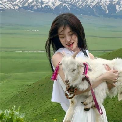 太后有喜 在线观看